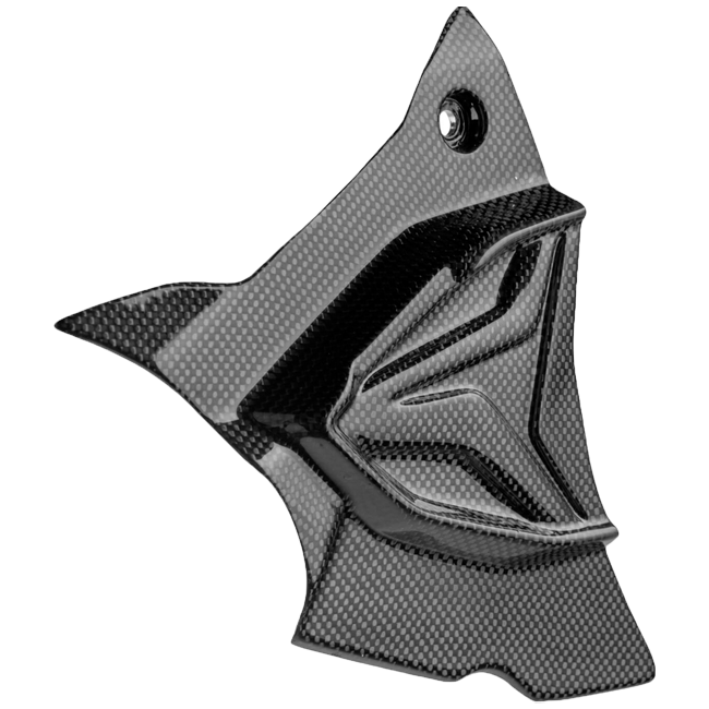 Ritzelcover Carbon LighTech BMW S1000RR K67 (19-25) CARB1945 