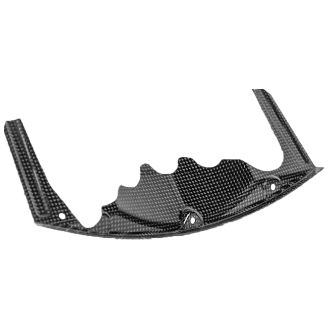 Luchtgeleidingsplaat voor SBK-koeler Carbon Carbonin BMW S1000RR K67 (19-22) CB4071 