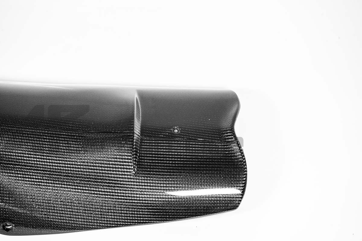 Bugspoiler 200g AP Carbon Line Aprilia RSV4/RR/1100 Factory (21-25) 