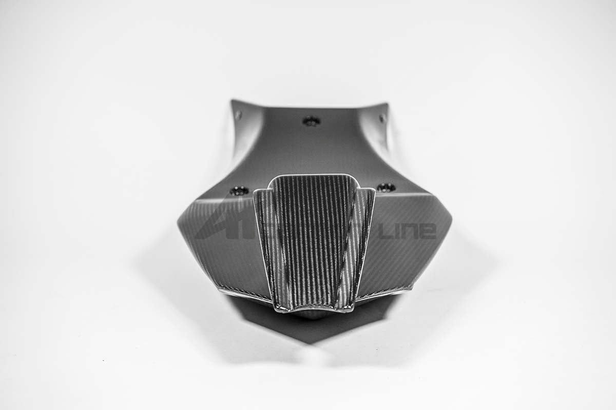 Heckbehuizing 200g AP Carbon Line Aprilia RSV4/RR/1100 Factory (21-25) 