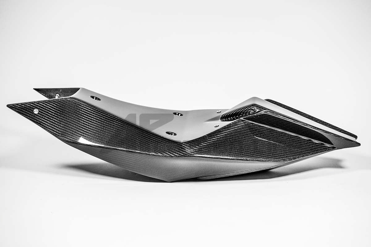 Heckbehuizing 200g AP Carbon Line Aprilia RSV4/RR/1100 Factory (21-25) 