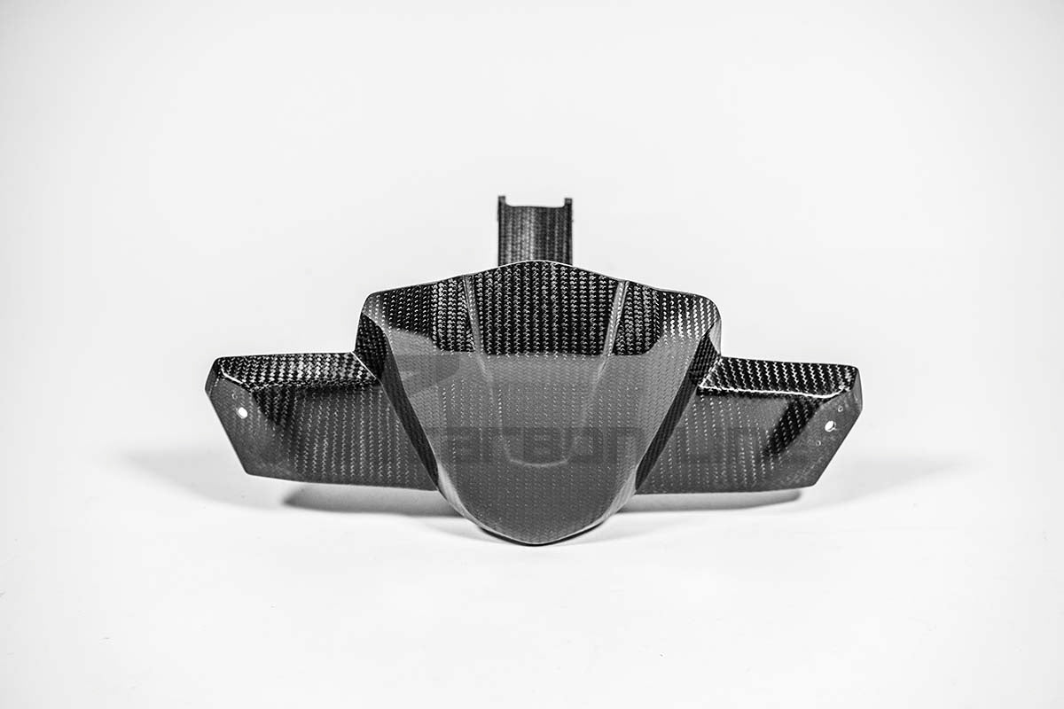 Instrumentenhouder 200g AP Carbon Line Aprilia RSV4/RR/1100 Factory (21-25) 