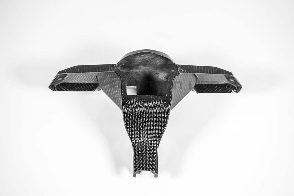 Instrumentenhouder 200g AP Carbon Line Aprilia RSV4/RR/1100 Factory (21-25) 