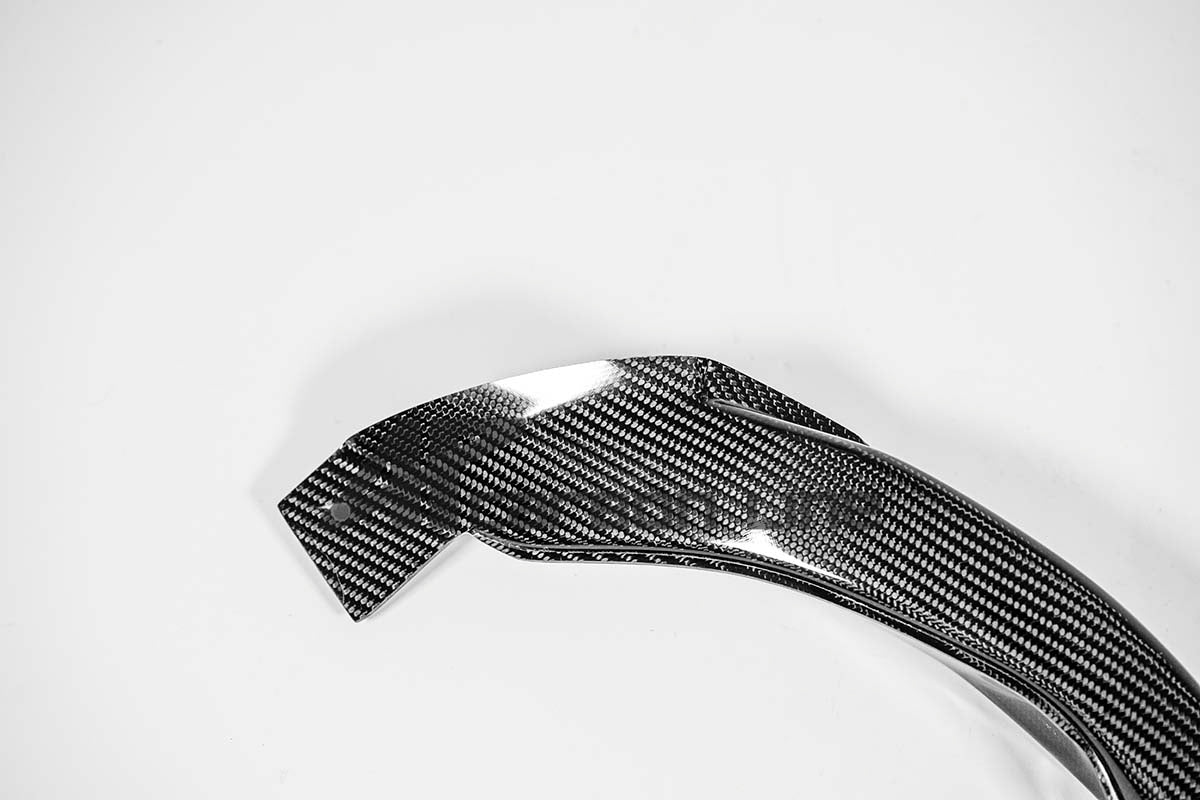 Luchtkanalen 200g AP Carbon Line Aprilia RSV4/RR/1100 Factory (21-25) 