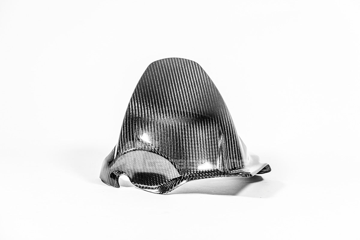 Achterspatbord 200g AP Carbon Line Ducati Panigale V4/S (2025) 