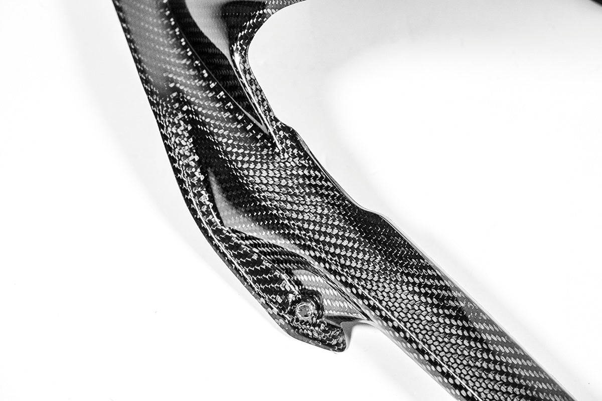 Achterspatbord 200g AP Carbon Line Ducati Panigale V4/S (2025) 
