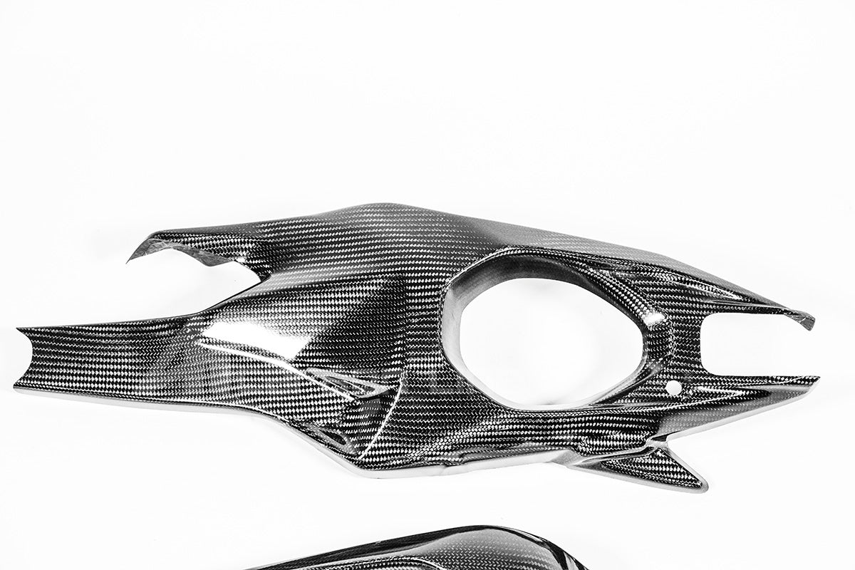 Schommelafdekkingen 200g AP Carbon Line Ducati Panigale V4/S (2025) 
