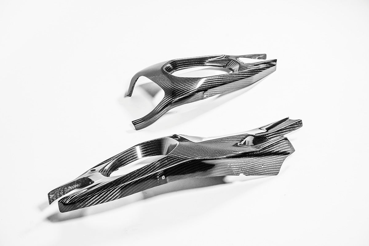 Schommelafdekkingen 200g AP Carbon Line Ducati Panigale V4/S (2025) 