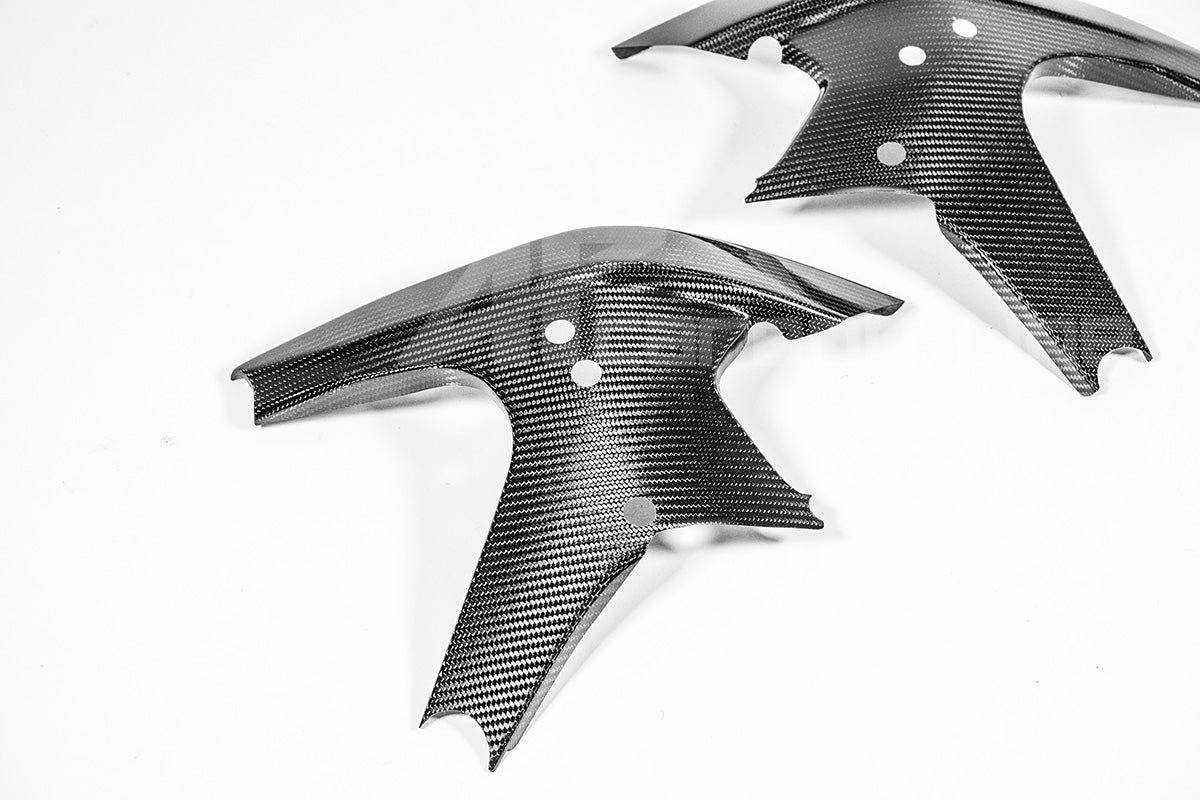 Lijstafdekkingen 200g AP Carbon Line Ducati Panigale V4/S (2025) 