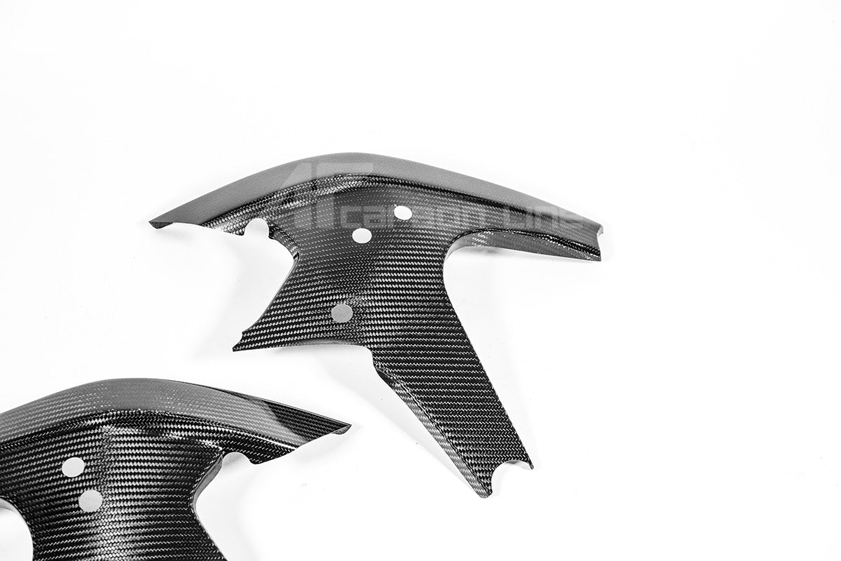 Lijstafdekkingen 200g AP Carbon Line Ducati Panigale V4/S (2025) 