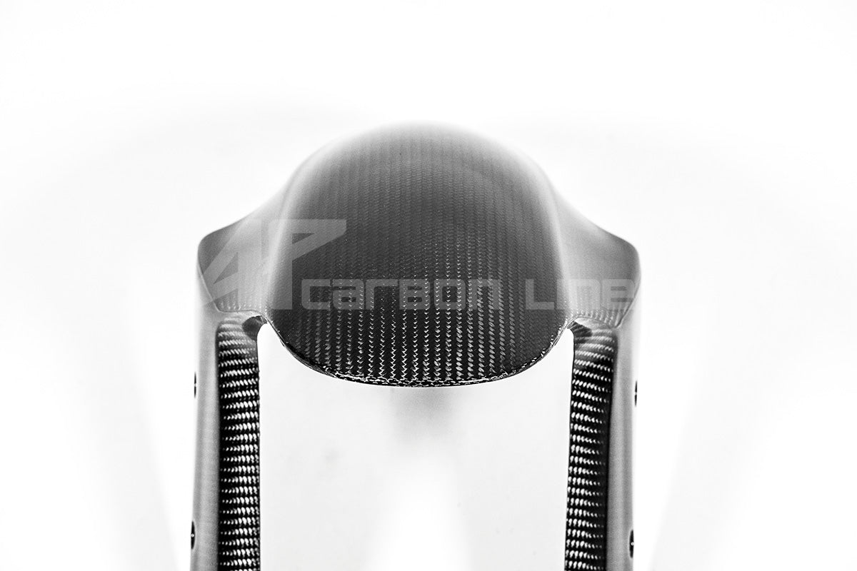Voorkant spatbord 200g AP Carbon Line Ducati Panigale V4/S (2025) 