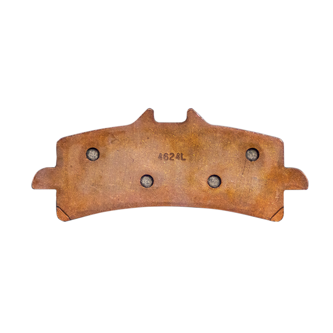 ZCOO B005 EXC Endurance Racing-remmen voor Aprilia RSV4/1100 Factory/R/RR/RF (09-24) | B005EXC 