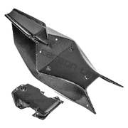 Heckbehuizing 200g AP Carbon Line Aprilia RSV4/RR/1100 Factory (21-25) 