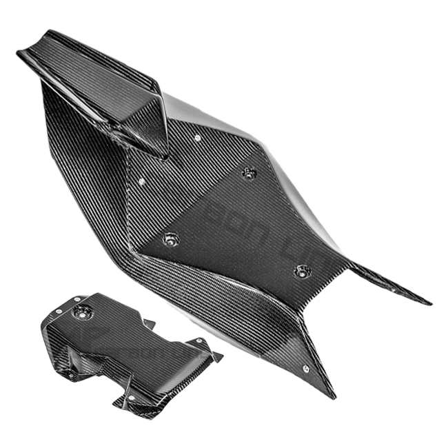 Heckbehuizing 200g AP Carbon Line Aprilia RSV4/RR/1100 Factory (21-25) 