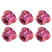 Titanmoeren Kit M10x1,25 12-hoekige kettingwieldrager Ducati Panigale V4/S/R (18-24) TGP 