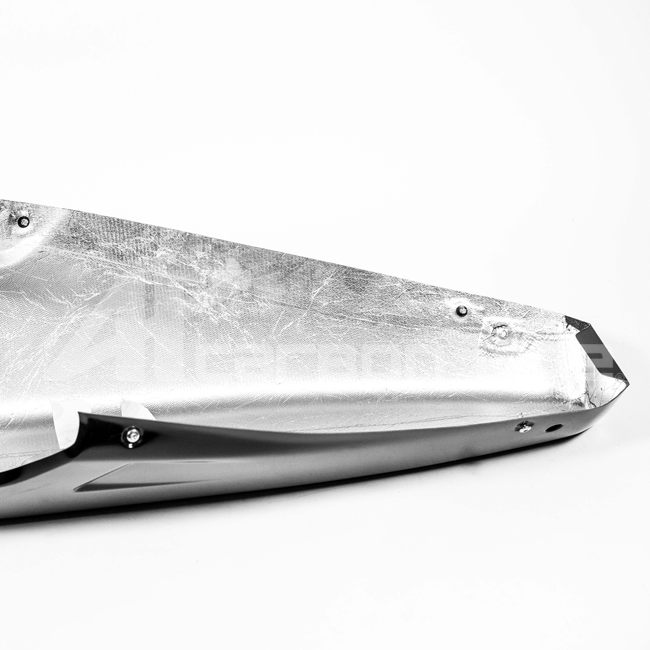 Bugspoiler Lavatex AP Carbon Line Ducati Panigale V4/S (2025) 