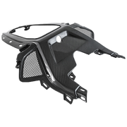 Heckafdekking Boven Carbon Fullsix BMW S1000RR K67 (19-22) 
