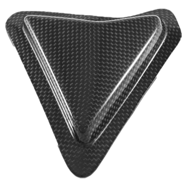 Slider Schwingbescherming Carbon Fullsix Ducati Panigale V2 955 (20-24) 