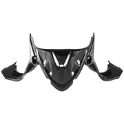 Instrumentenafdekking Carbon Fullsix Ducati Panigale 899 (13-16) 