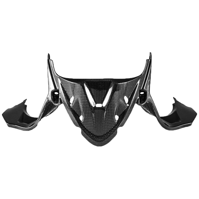 Instrumentenafdekking Carbon Fullsix Ducati Panigale 1199/R/S (12-17) 