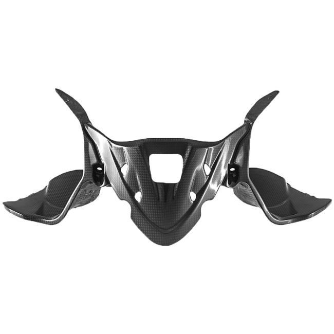 Instrumentenafdekking Carbon Fullsix Ducati Panigale 1299/S (15-18) 