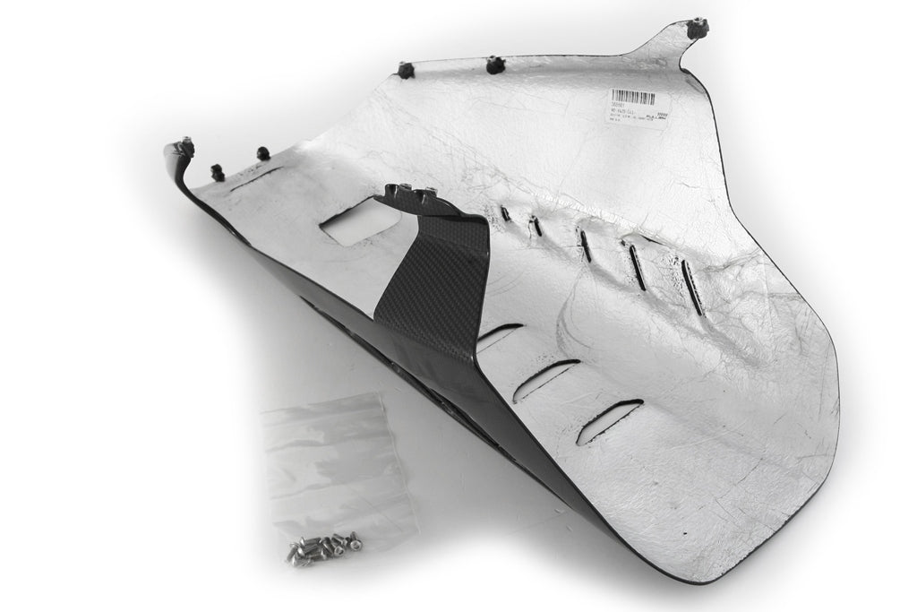 Bugspoiler Street Carbon Fullsix Ducati Panigale V4/S (2025) 