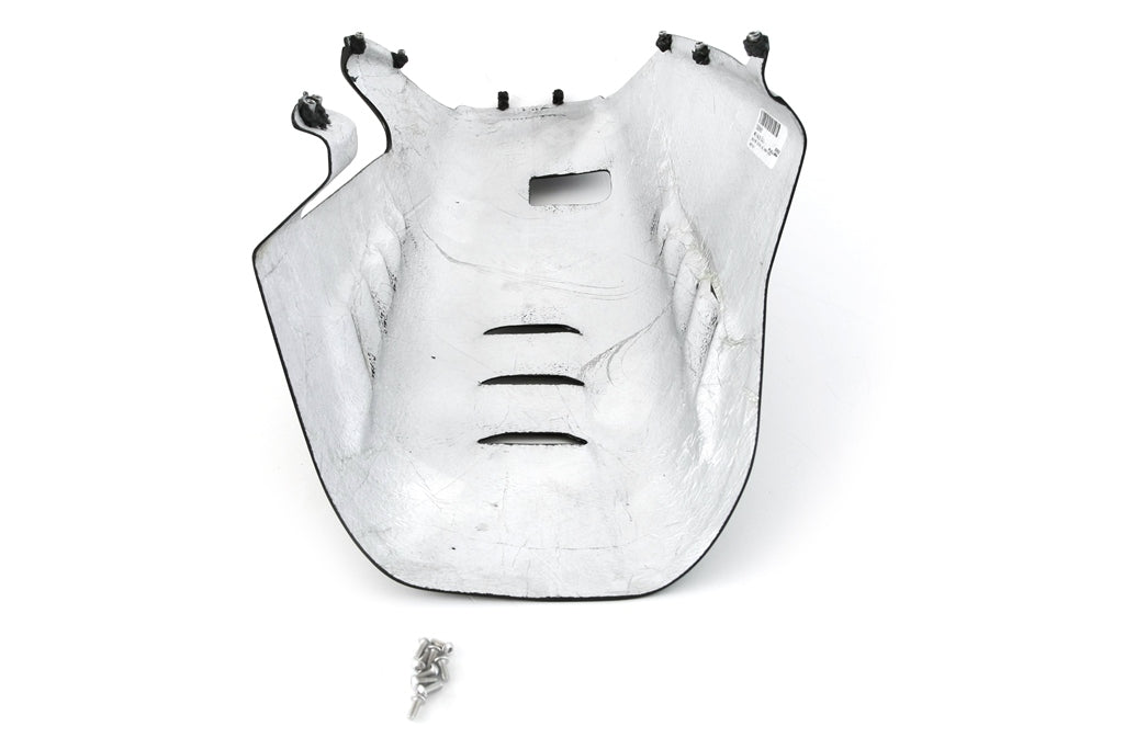 Bugspoiler Street Carbon Fullsix Ducati Panigale V4/S (2025) 