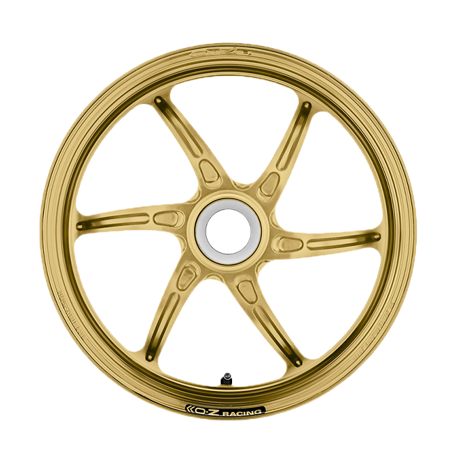 OZ Cattiva Magnesium Achterwielvelg Ducati Panigale V2 955 (20-24) C6012DU55X 