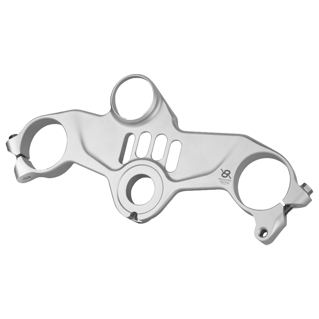 Gabelbrugstraat (BOVEN) Bonamici Racing Kawasaki ZX-10 R/RR (16-20) PSK1 