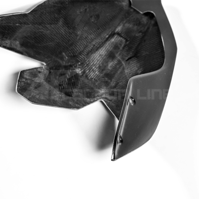 Achterbehuizing Lavatex AP Carbon Line Ducati Panigale V4/S (2025) 