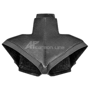 SBK Luchtkanaal 200g AP Carbon Line Ducati Panigale V4/S/R (22-24) 