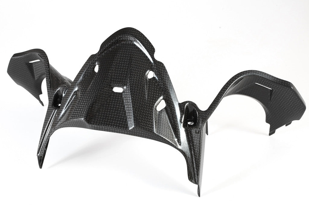 Instrumentenafdekking Carbon Fullsix Ducati Panigale 1199/R/S (12-17) 