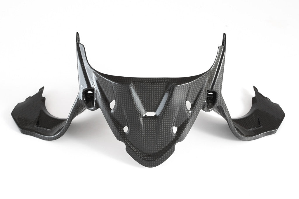 Instrumentenafdekking Carbon Fullsix Ducati Panigale 1199/R/S (12-17) 