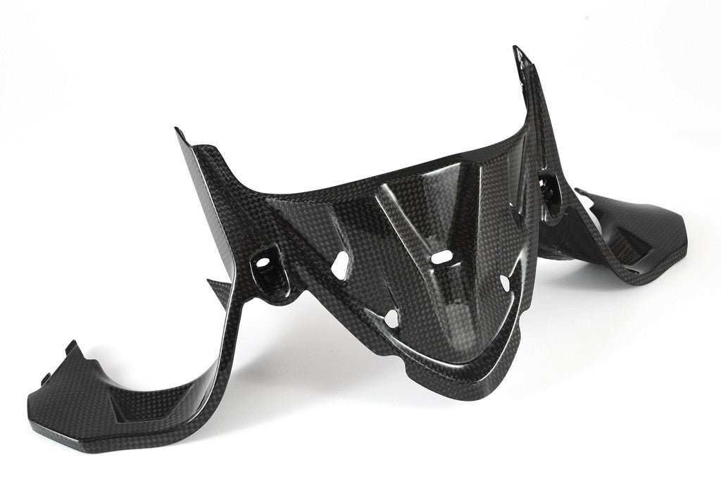 Instrumentenafdekking Carbon Fullsix Ducati Panigale 1199/R/S (12-17) 
