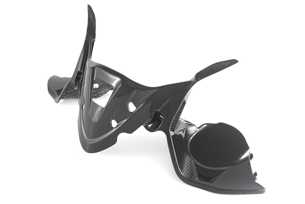 Instrumentenafdekking Carbon Fullsix Ducati Panigale 1299/S (15-18) 