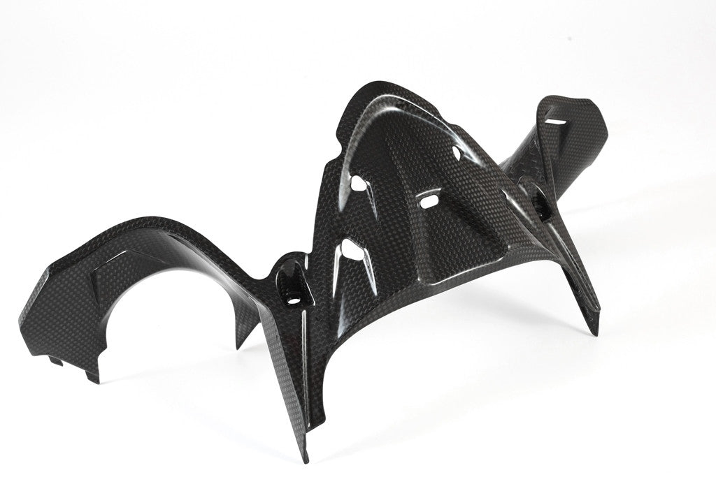 Instrumentenafdekking Carbon Fullsix Ducati Panigale 1199/R/S (12-17) 