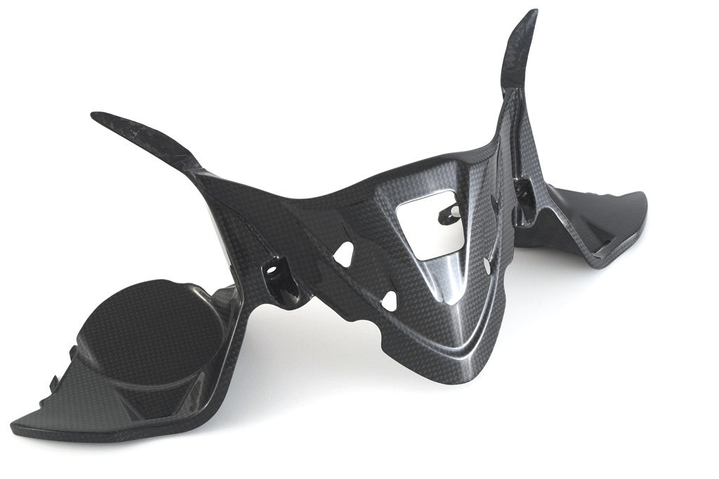 Instrumentenafdekking Carbon Fullsix Ducati Panigale 1299/S (15-18) 