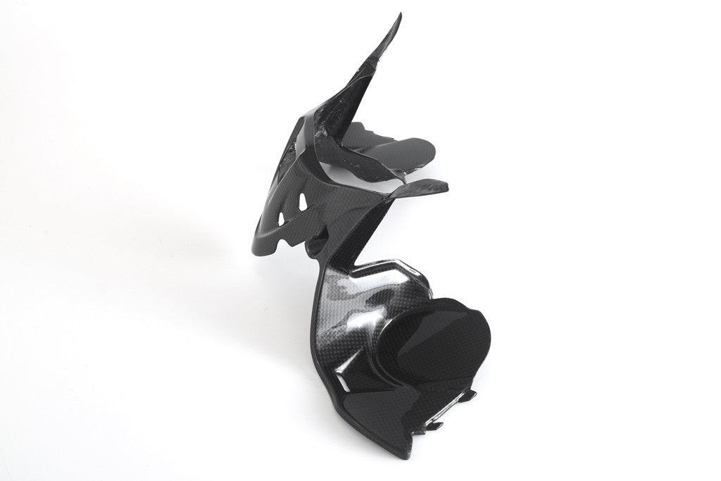 Instrumentenafdekking Carbon Fullsix Ducati Panigale 1299/S (15-18) 