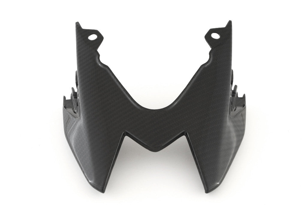 Heckcover Carbon Fullsix BMW S1000RR K46 (15-18) 