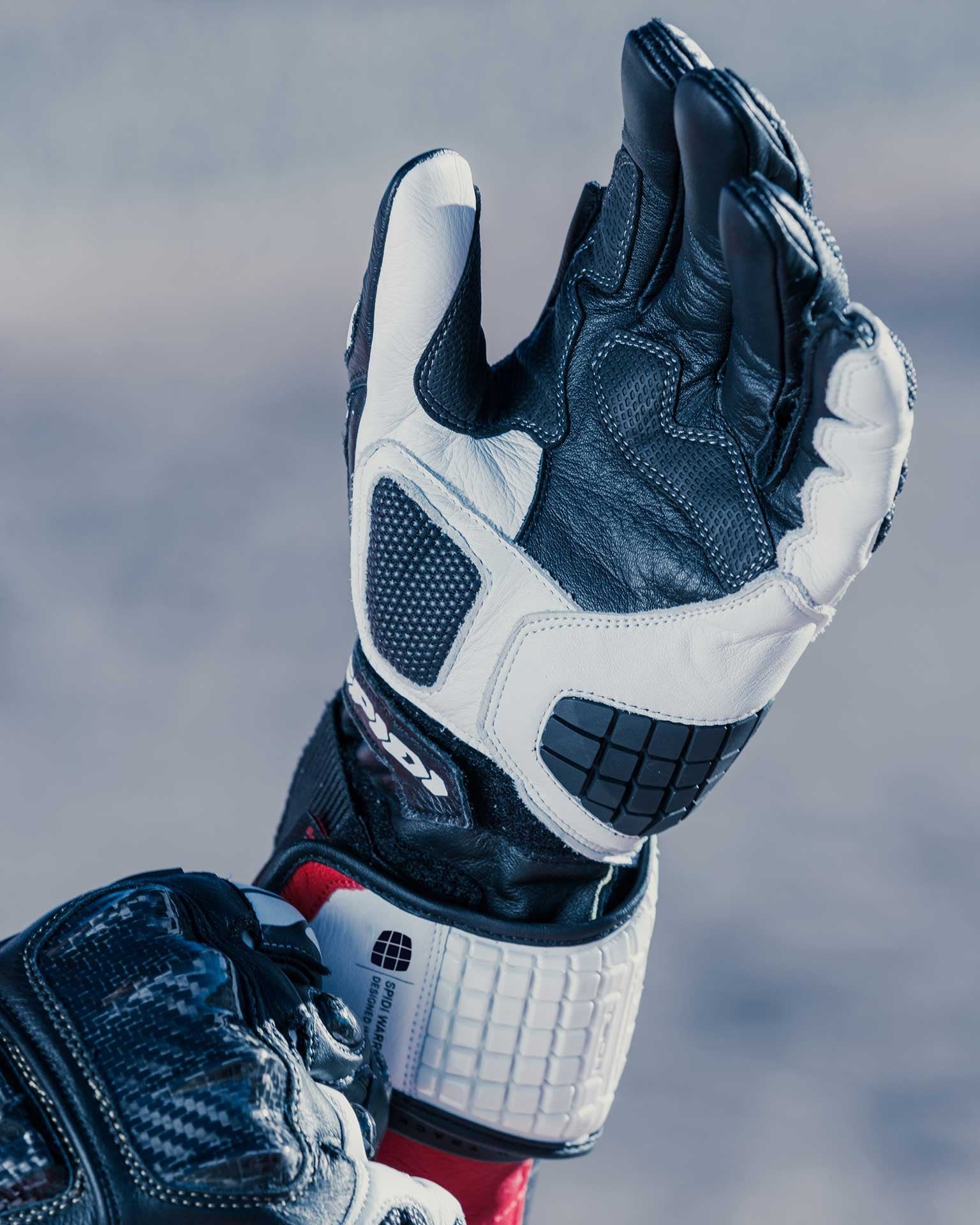 Spidi Carbo Track Evo Racing Motorfiets Lederen Handschoenen | Heren | Zwart/Wit | A203011 
