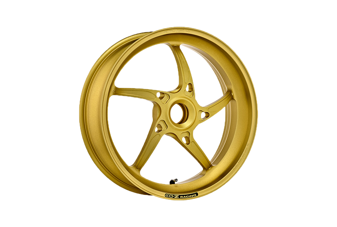 OZ Piega Aluminium Achterwielvelg Ducati Panigale 1299/S (15-18) P6012DU60 