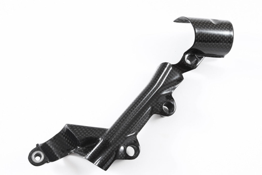 Remcilinder Achterwiel Dekking Carbon Fullsix Ducati Panigale 899 (13-16) 