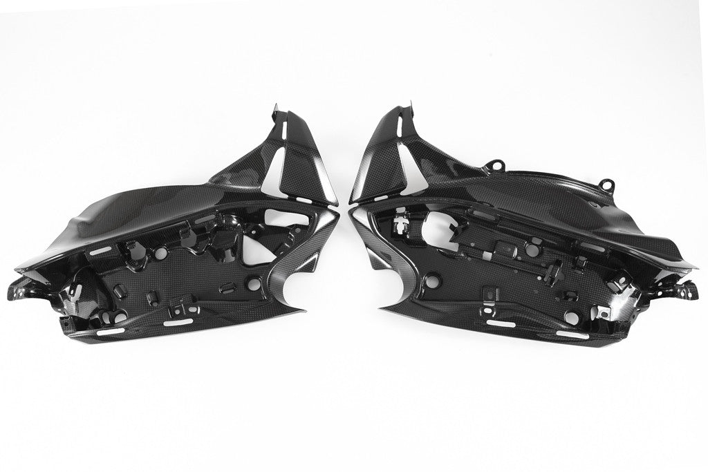 Elektronikbevestigingsset Carbon Fullsix Ducati Panigale 1299/S (15-18) 