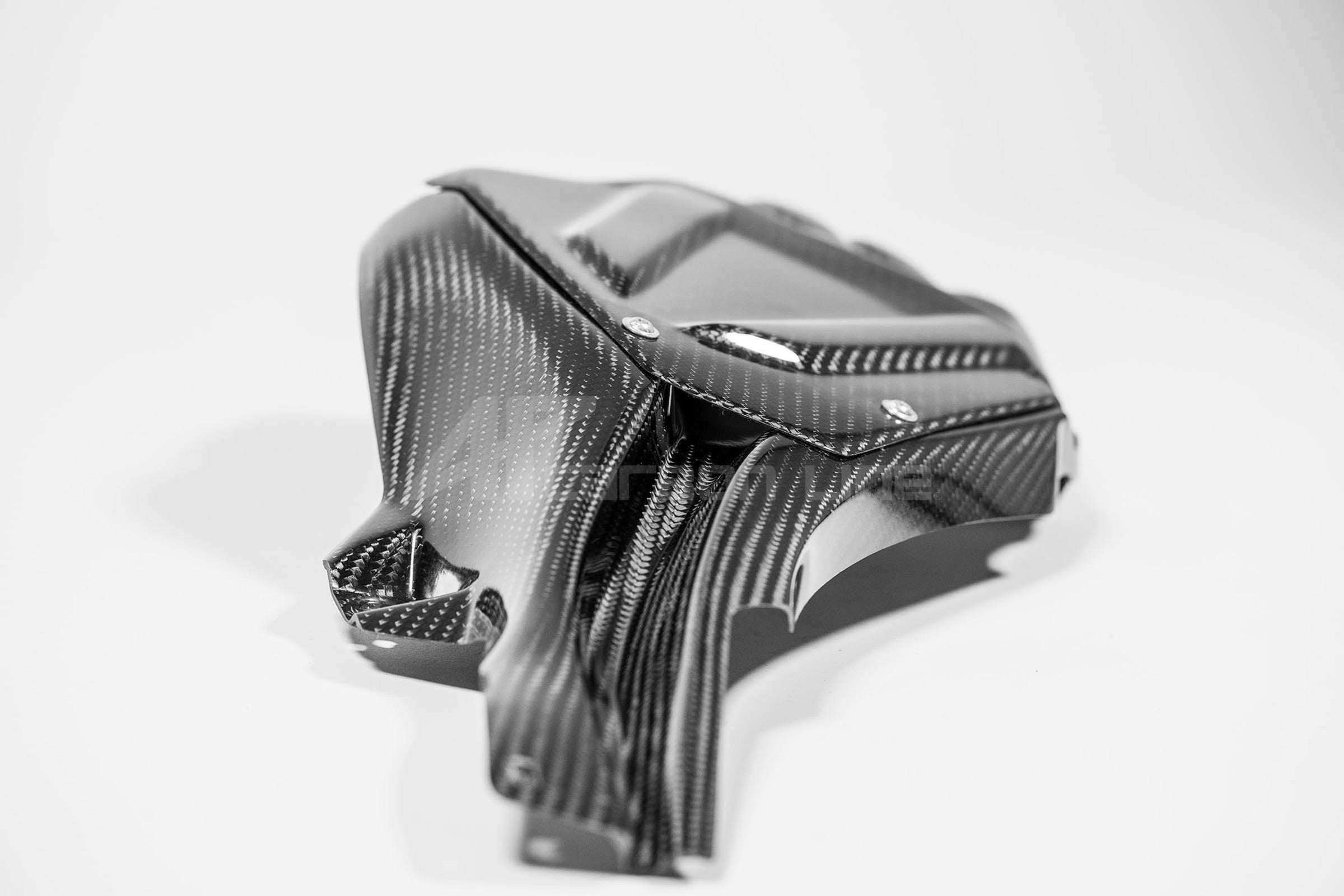 ECU-afdekking incl. kochannel 200g AP Carbon Line Yamaha YZF-R1/M RN65 (20-25) 