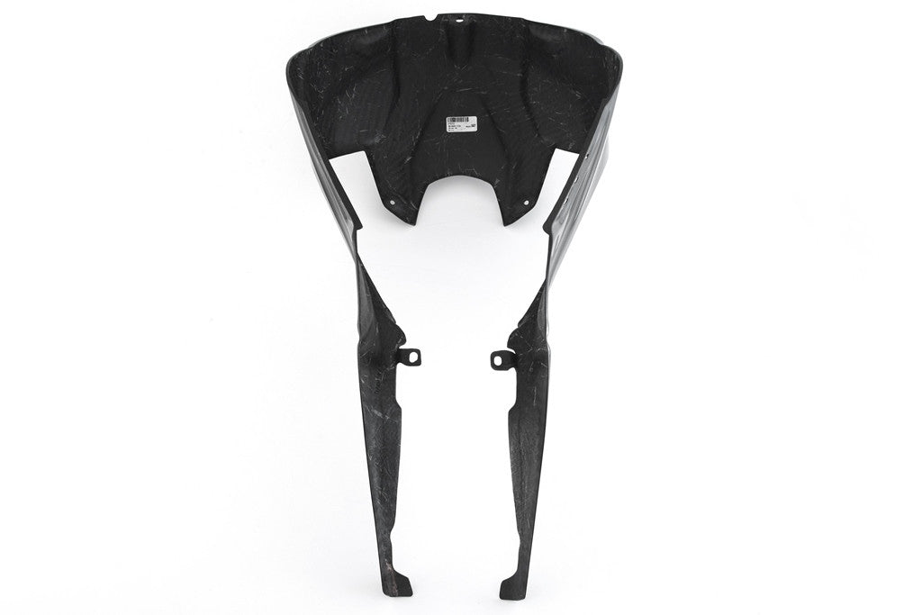 Airboxafdekking "Race" Carbon Fullsix BMW S1000RR K67 (19-25) 