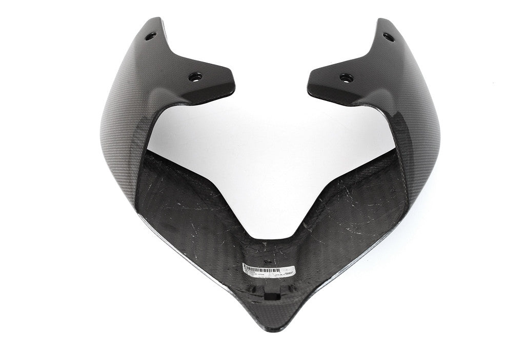 Achterbehuizing Carbon Fullsix Ducati Panigale V4/S/R (18-24) 