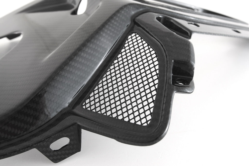 Heckafdekking Boven Carbon Fullsix BMW S1000RR K67 (19-22) 