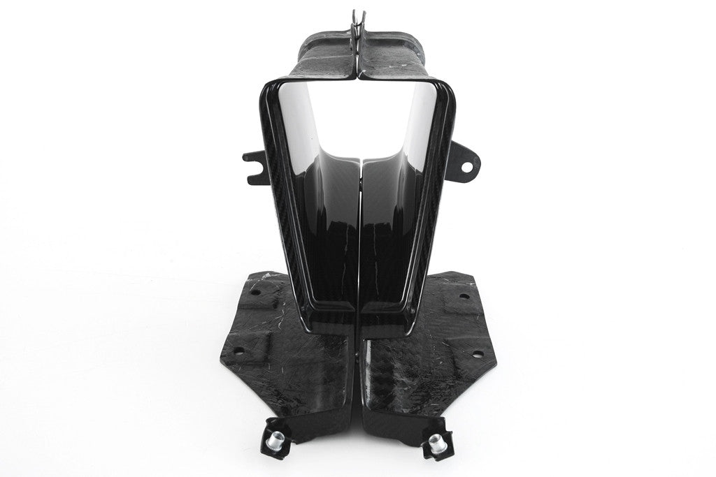 Luchtinlaat Carbon Fullsix BMW S1000RR K67 (19-24) 