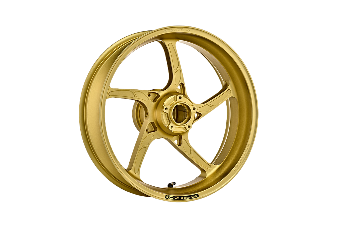 OZ Piega Aluminium Achtervelg Ducati Panigale 959 (16-19) P6184DU55 