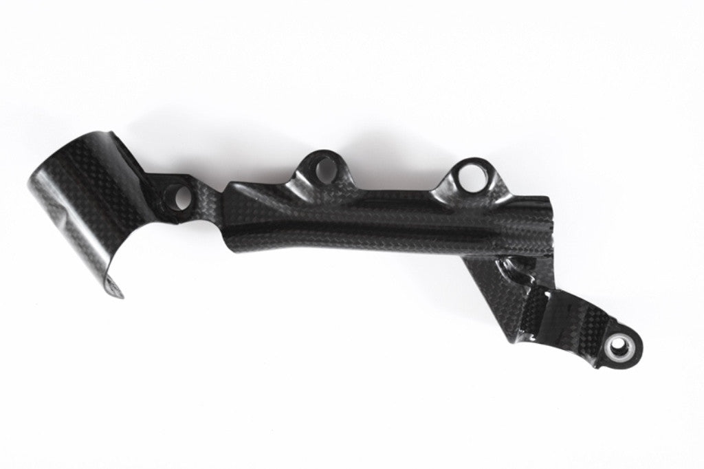 Remcilinder Achterwiel Dekking Carbon Fullsix Ducati Panigale 1299/S (15-18) 